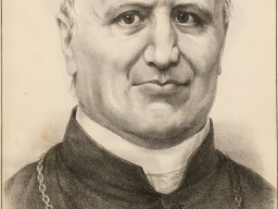 pio ix